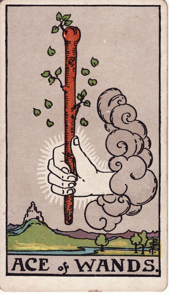 ワンドのエース（Ace of Wands）のカード図像
