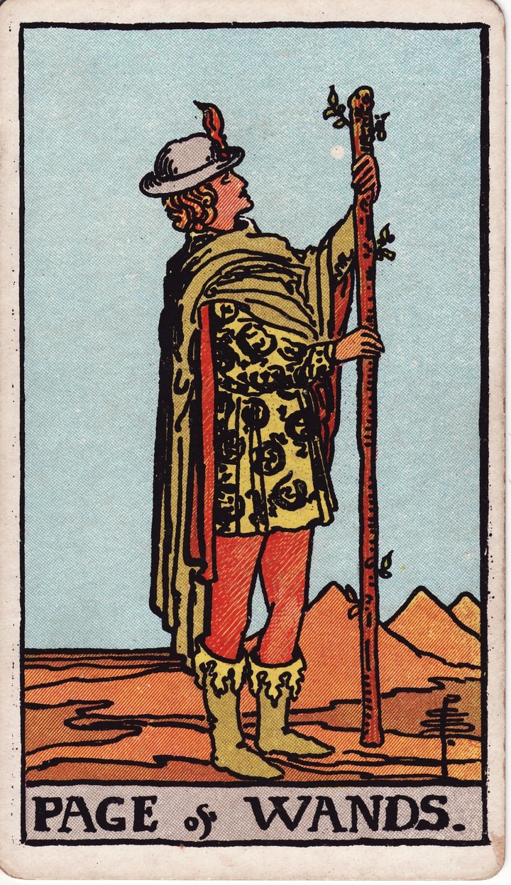ワンドのペイジ（Page of Wands）のカード図像